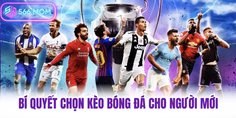 Bí quyết chọn kèo bóng đá cho người mới