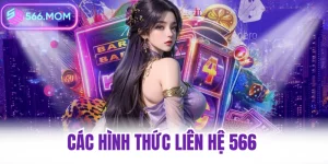 Các hình thức liên hệ 566