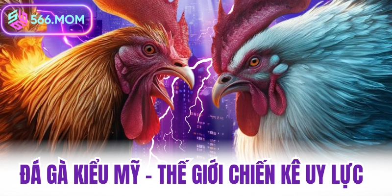 Đá gá kiểu Mỹ - thế giới chiến kê uy lực