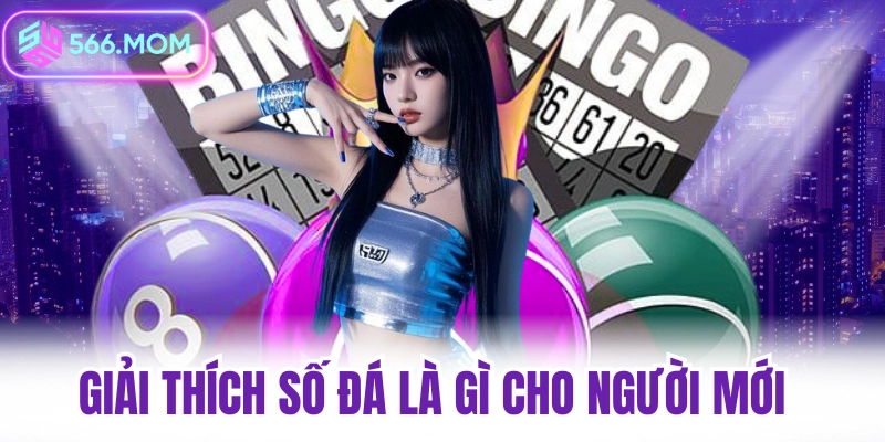 Giải thích số đá là gì cho người mới