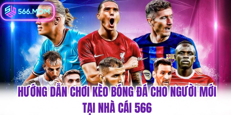 Hướng dẫn chơi kèo bóng đá cho người mới tại kèo nhà cái 566