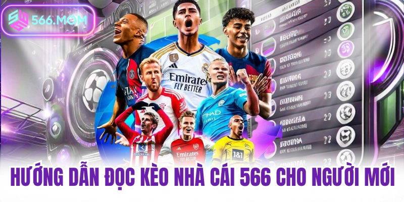 Hướng dẫn đọc kèo nhà cái 566 dành cho người mới