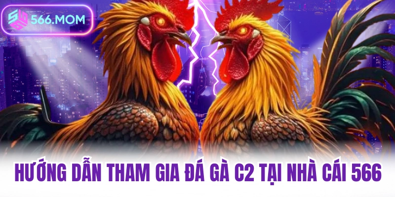 Hướng dẫn tham gia đá gà c2 tại nhà cái 566