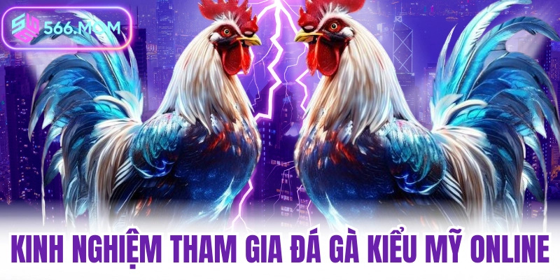 Kinh nghiệm tham gia đá gà kiểu Mỹ online tại 566