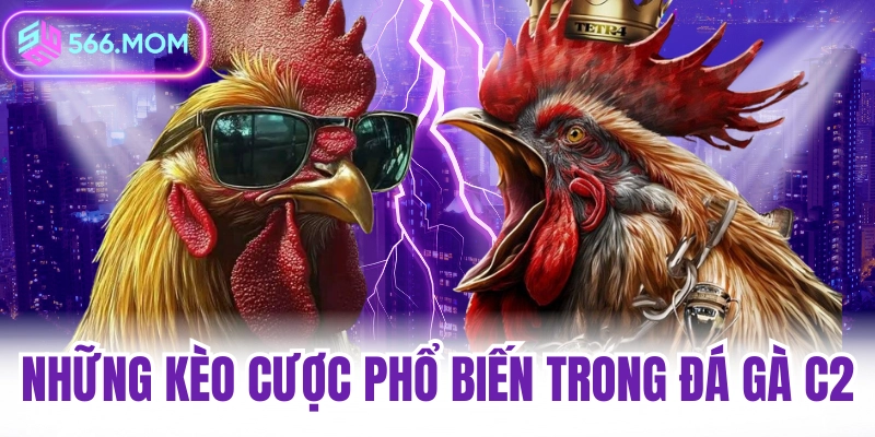 Những kèo cược phổ biến trong đá gà c2