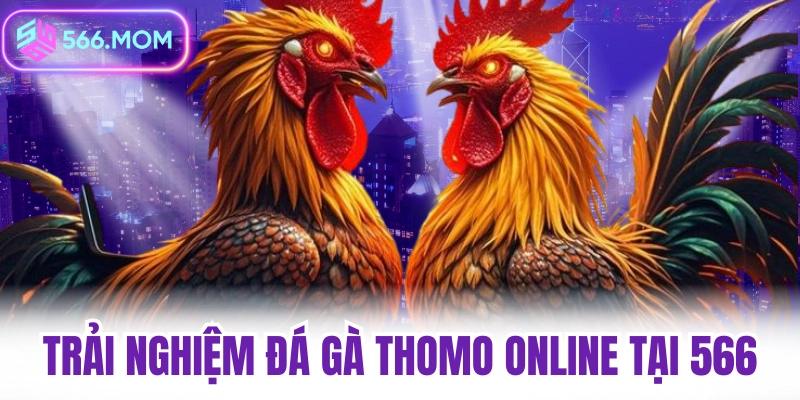 Trải nghiệm đá gà thomo online tại 566